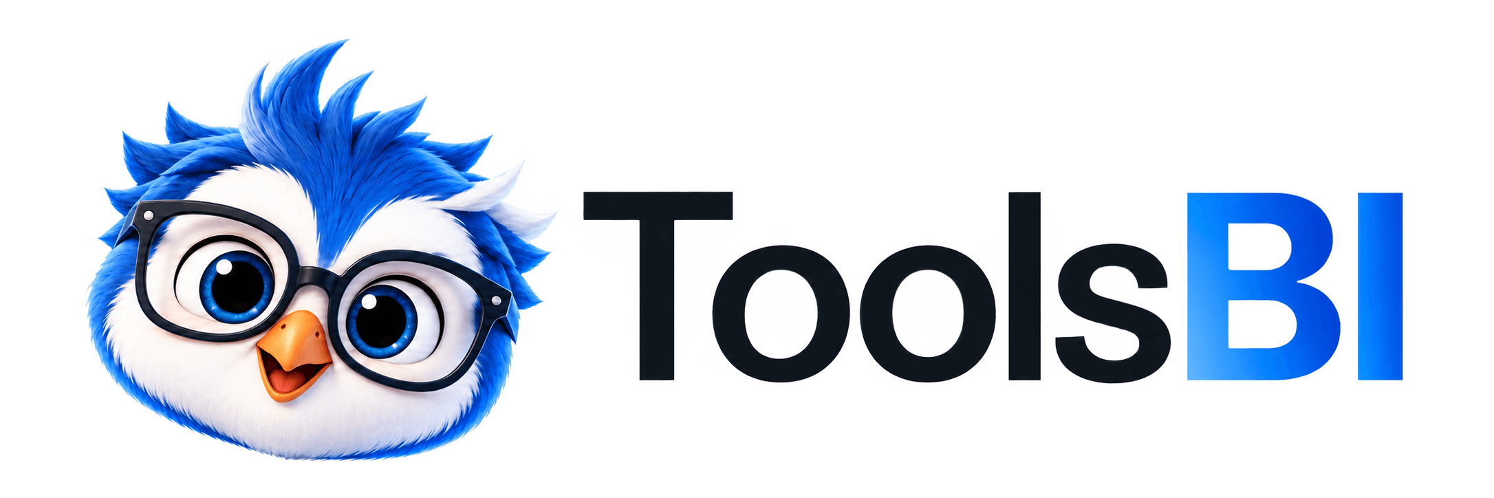 ToolsBI